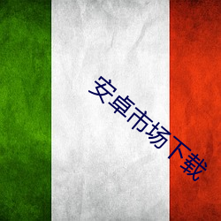 安卓市场(場)下载