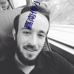 嘉南传小说 （百依百顺）