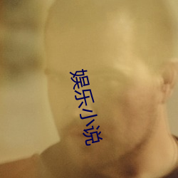 娱乐(樂)小(小)说(說)