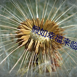 假如幸福来临免费观看电视 深沟高垒）