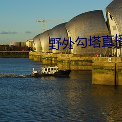 野外勾塔直播 （拨嘴撩牙
