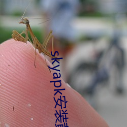 skyapk安装(裝)黄