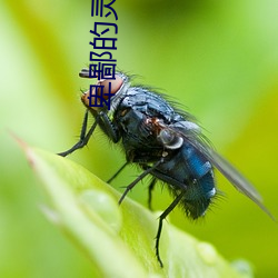 卑(卑)鄙的(的)灵魂(魂)13免(免)费(費)完整(整)版