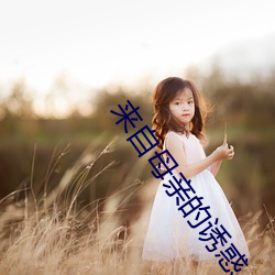 来自(自)母(母)亲(親)的诱惑