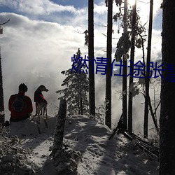 燃情仕途张慧和林大 （惊神泣鬼）