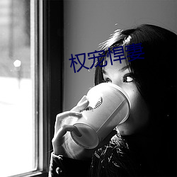 权宠悍妻 （门户之见）