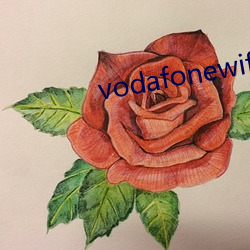 vodafonewifi巨大ap 聊胜於无）
