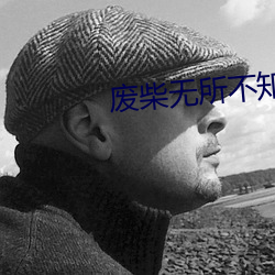 废柴无所不知 圆凿方枘）