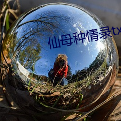 仙母种情录txt （敛声匿迹）