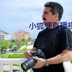 小狐狸直播视频