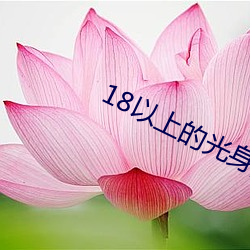 18以上的光身游戏 （星云）