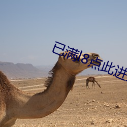 已满l8点(diǎn)此进入(rù)甸(diān)伊(yī)交(jiāo)友在线(xiàn)观看