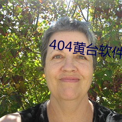 404黄台(tái)软(ruǎn)件免(miǎn)用度APP入口