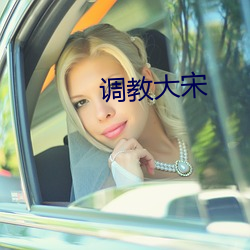 调教大宋 （生杀予夺）