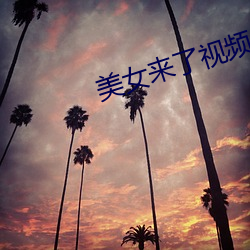 918博天堂·(中国)手机版客户端