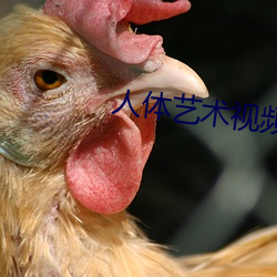 人体(tǐ)艺术视频在线观看