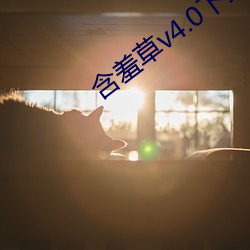 含羞草v4.0下載安裝