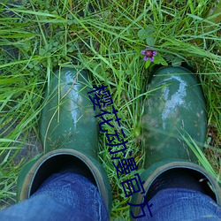 樱(yng)花动漫官方(fāng)入(r)口知乎