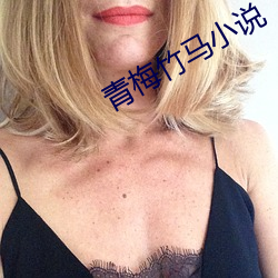 青(qīng)梅(méi)竹马(mǎ)小(xiǎo)说
