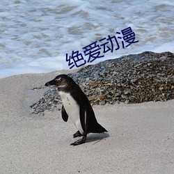 绝爱动漫