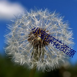 小宝探(tàn)花资源