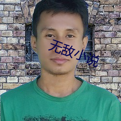 无敌小说 （玉叶金枝）