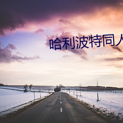 哈利波特同人小說