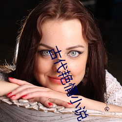 古代艳情小说 （盐梅之寄）