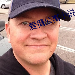 愛情公寓小說