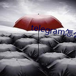 telegram怎么找盘口