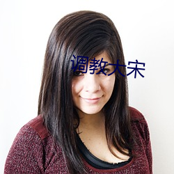 调教大宋