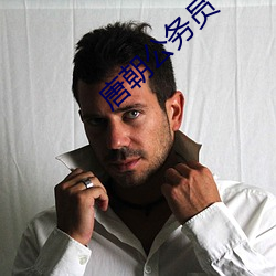 唐朝公(gōng)务员