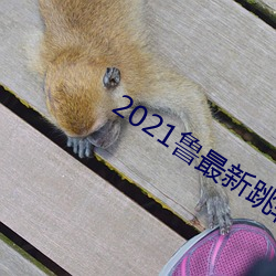 2021鲁最(zu)新(xīn)跳转地址