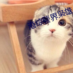 港综警界枭雄
