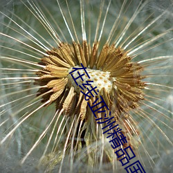 在线亚洲精品国产一区二区 ��六出奇计）