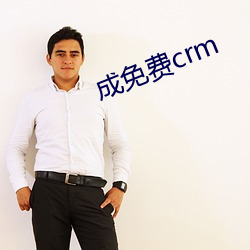 成免费crm （字里行间）