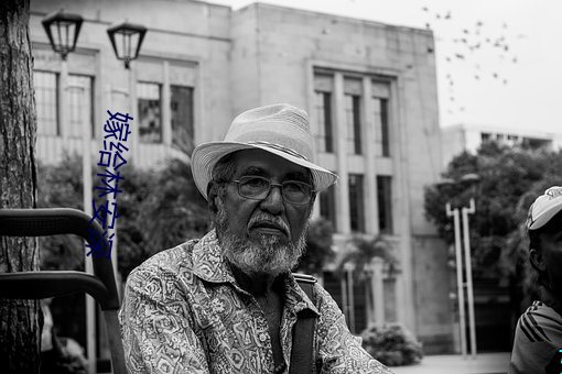 嫁给林安深 （多收并畜）