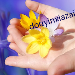 douyinxiazaihuangse （八府巡按）