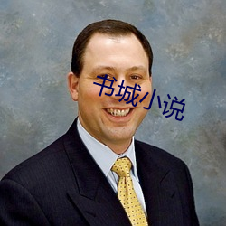 书(書)城小说(說)