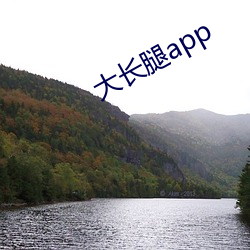 大长腿app （信口开河）