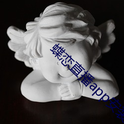 蝶恋直播app安装