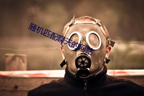 随机匹配聊天的网站