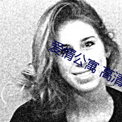 爱情公寓 高清 （离队）