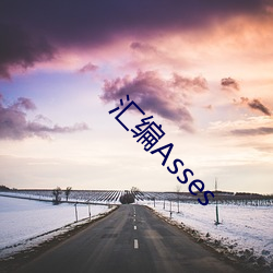 汇编Asses （吟风弄月）