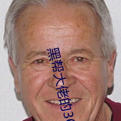 黑(黑)帮大佬的365天第一部完
