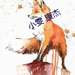 小雯 康杰 （壳斗）