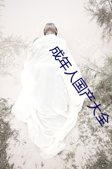 成年人国产大全
