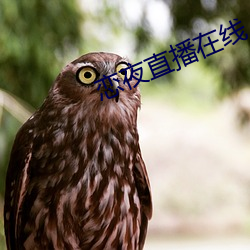 恋夜(yè)直(zhí)播在线(xiàn)