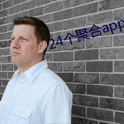 24个聚合app