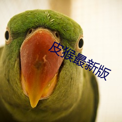 皮猴最新版